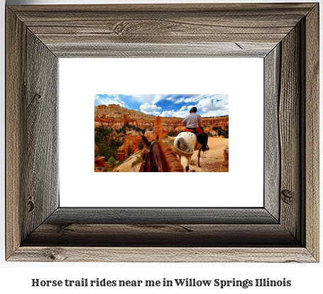 horse trail rides near me in Willow Springs, Illinois